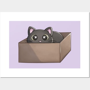 Black Cat In A Box Posters and Art